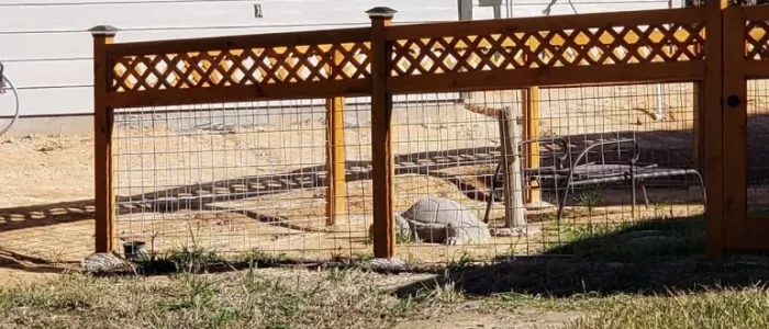 Remodeling (3) Remodeling (3)